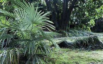 Du Parc