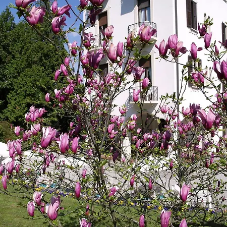 Hotel Du Parc Lake Maggiore