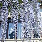 Du Parc Отель 2*