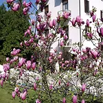Отель Du Parc Lake Maggiore